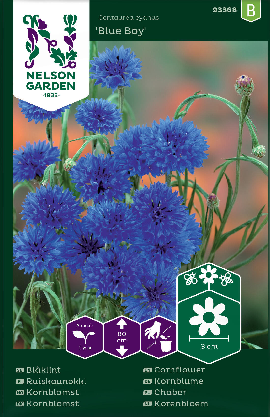 Kornblomst 'Blue Boy'